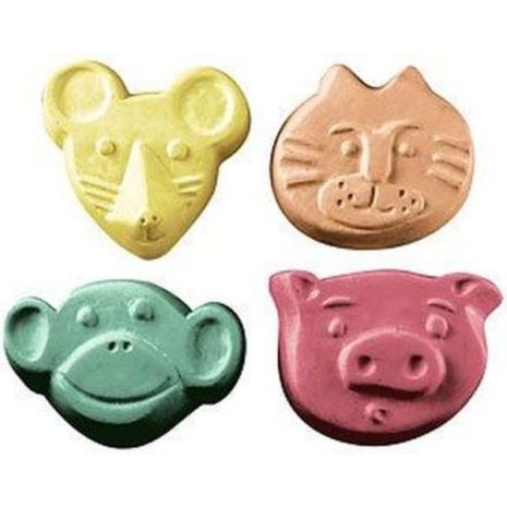 Nature Kid Critters 2 Soap Mold