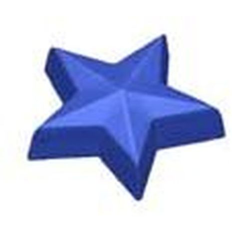 Stylized Guest Prism Star Soap Mold