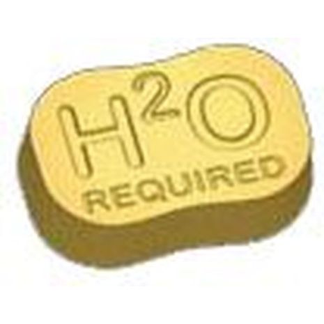 Stylized H2O Required Soap Mold