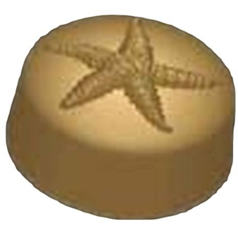 Stylized Starfish Soap Mold