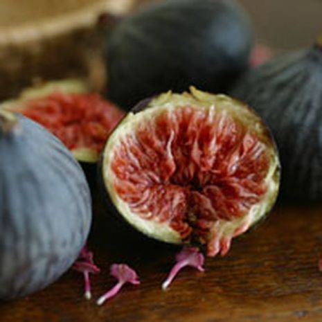 Moroccan Fig Fragrant Oil