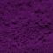 Fluorescent - AF Purple